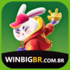 Logo da WINBIGBR